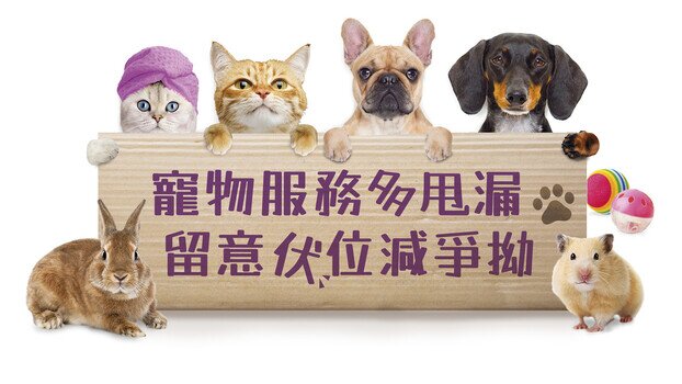 寵物服務促改善 商戶不良手法損動物消費權益