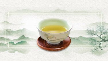 细味绿茶
从香气、属性寻找「你杯茶」