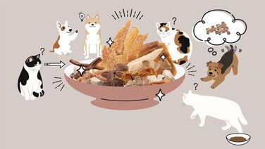 貓狗零食衞生大檢閱  「家長」餵得安心！