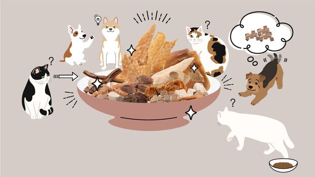 貓狗零食衞生大檢閱  「家長」餵得安心！