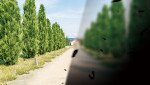 視網膜脫落有先兆  延醫或可致盲