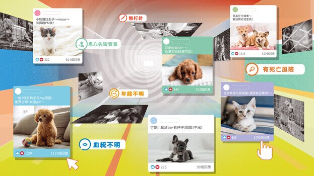 網購寵物患病率高? 慎防寵物釣魚詐騙！
