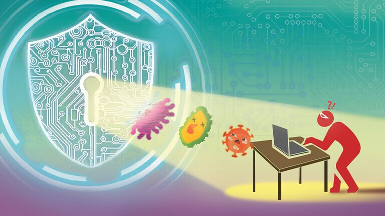 新测网络安全软件   免费付费如何拣？