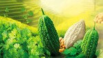 苦瓜  納豆  芫茜   常被人嫌棄？
原來好「有營」
