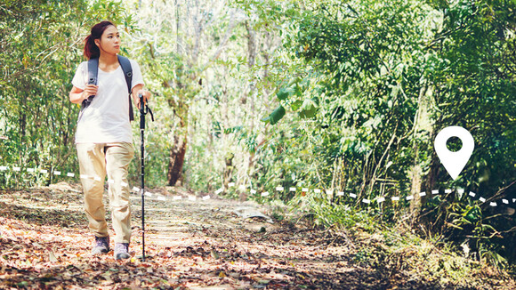 测19款行山杖 专家教路点样拣