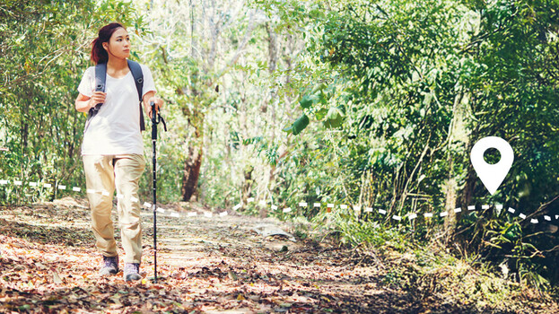 测19款行山杖  专家教路点样拣