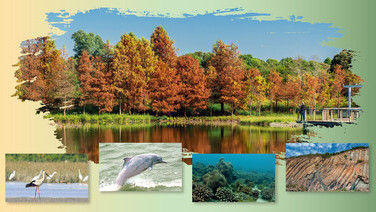 起行！4大生态旅游　探索不一样的香港