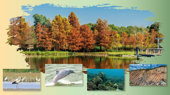 起行!4大生态旅游 探索不一样的香港