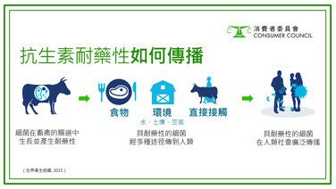 食物安全保衞戰   向濫用抗生素說不