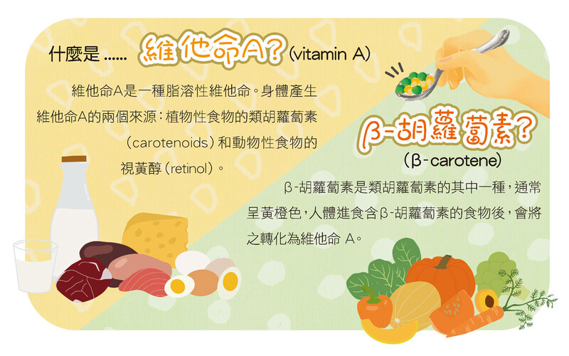 什麼是維他命A