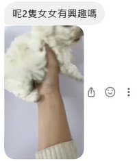 有聲稱「私人繁殖」的賣家在售賣狗隻後，短時間內發送其他狗隻的相片或影片，主動兜售。