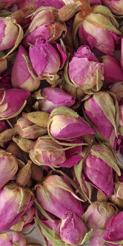 玫瑰花(Rose)