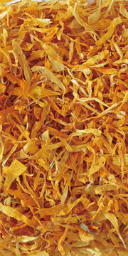 金盞花(Calendula)