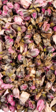 桃花(Peach blossom)