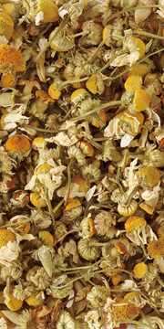 洋甘菊(Camomile)
