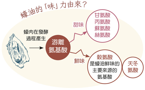 「鲜」味从何而来？