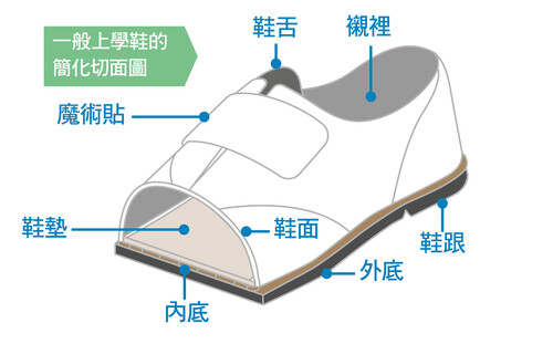  一般上学鞋的简化切面图
