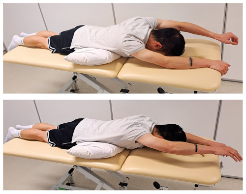 运动三) 背部肌肉强化运动