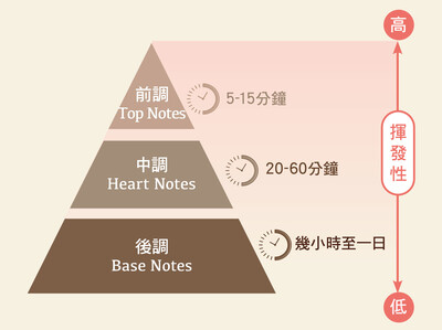 香水的香味結構