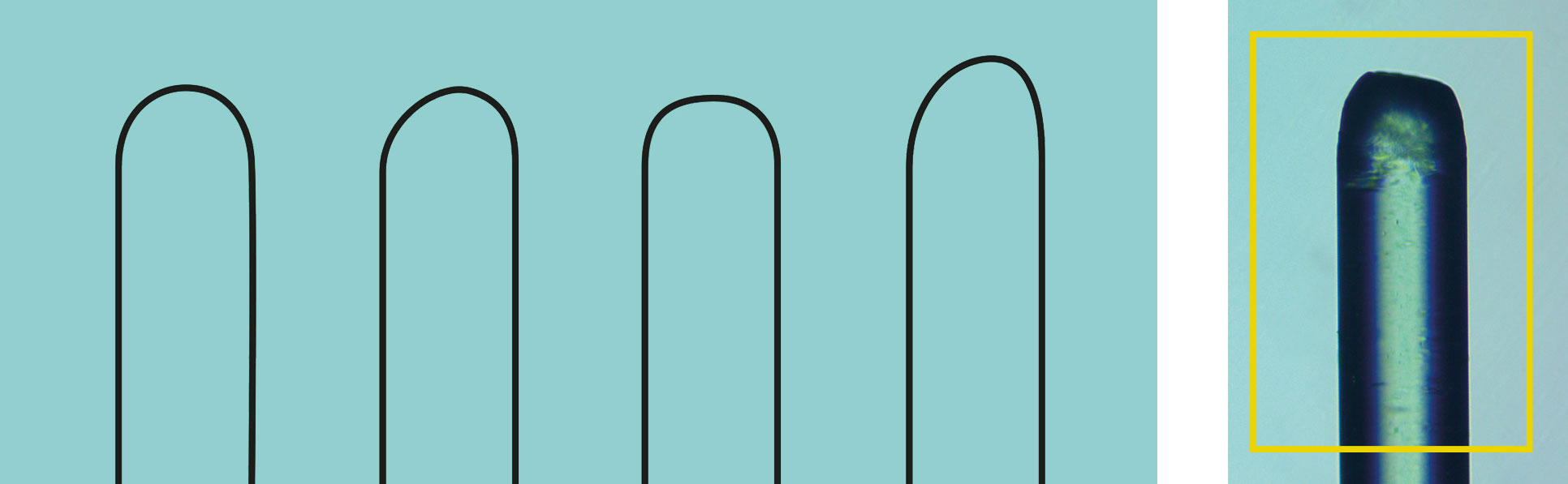 圖二:參考GB 39669-2020標準, 上述不同磨毛單絲頂端輪廓均為符合規定的合格示例。(左)個別符合標準規定的磨毛樣本的顯微鏡影像。(右)