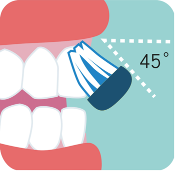 图五：美国牙科协会建议刷牙时将牙刷以45度角贴近牙龈线。