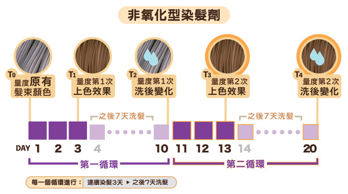 非氧化型染发剂测试