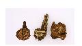 Caution against contaminated Chinese herbs Rhizoma et Radix Notopterygii and Radix Dipsaci