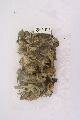 回收两款维他命B药水