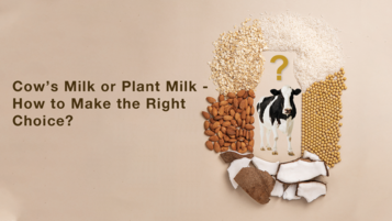 《Cow’s Milk or Plant Milk – How to Make the Right Choice?》