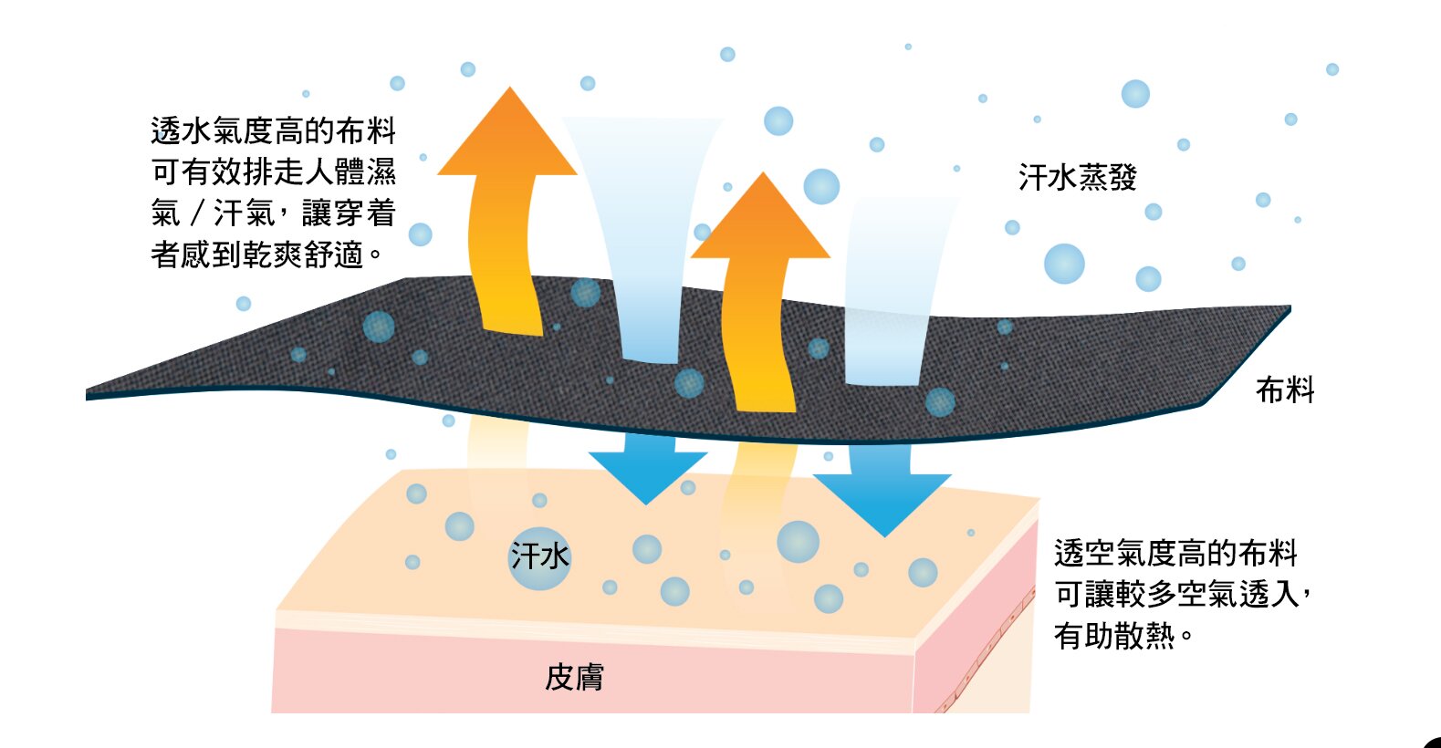 evaporation