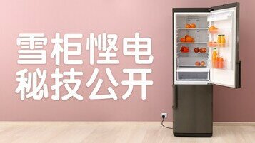 《雪柜悭电秘技全公开》