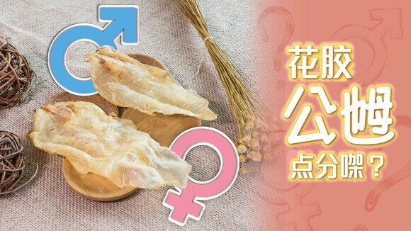 《花胶冷知识：花胶公乸有几大分别？》