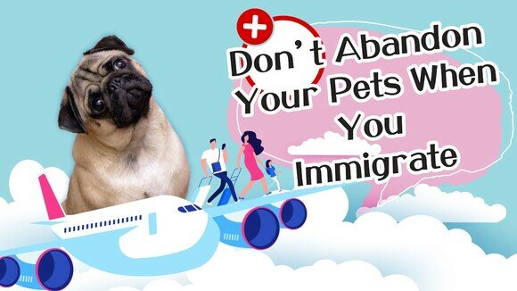 《Don’t Leave Them Behind – How to Immigrate Together With Your Pets? 》