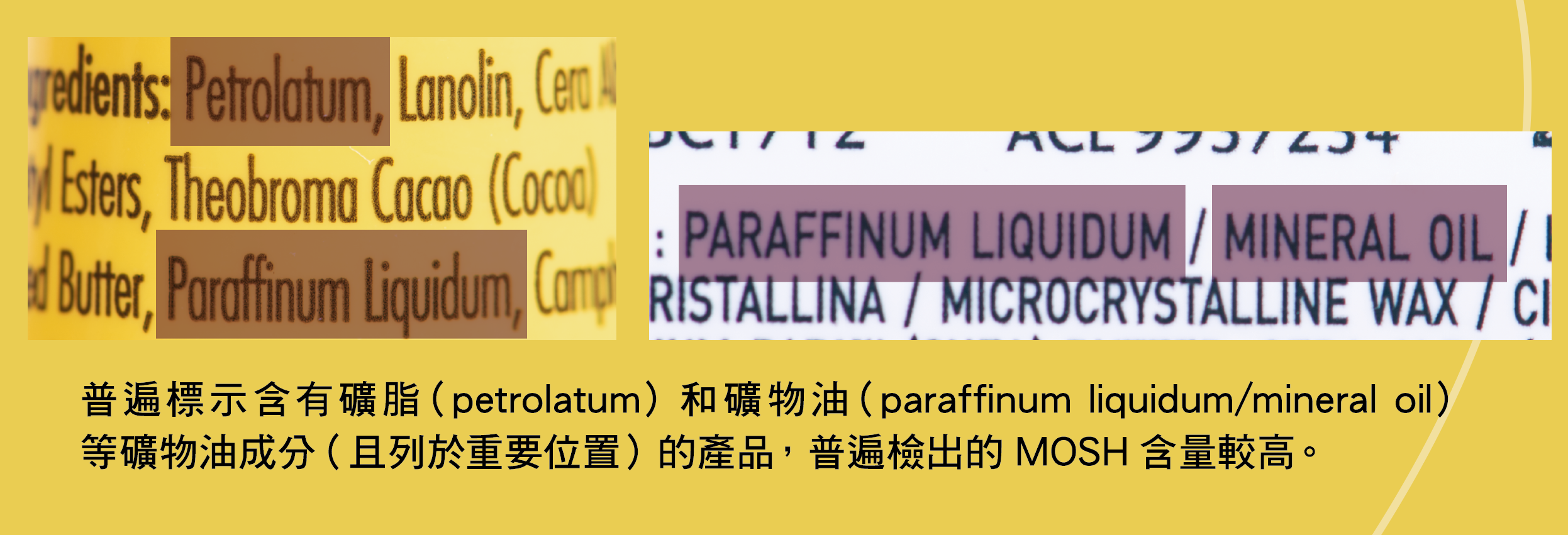 产品的成分列表