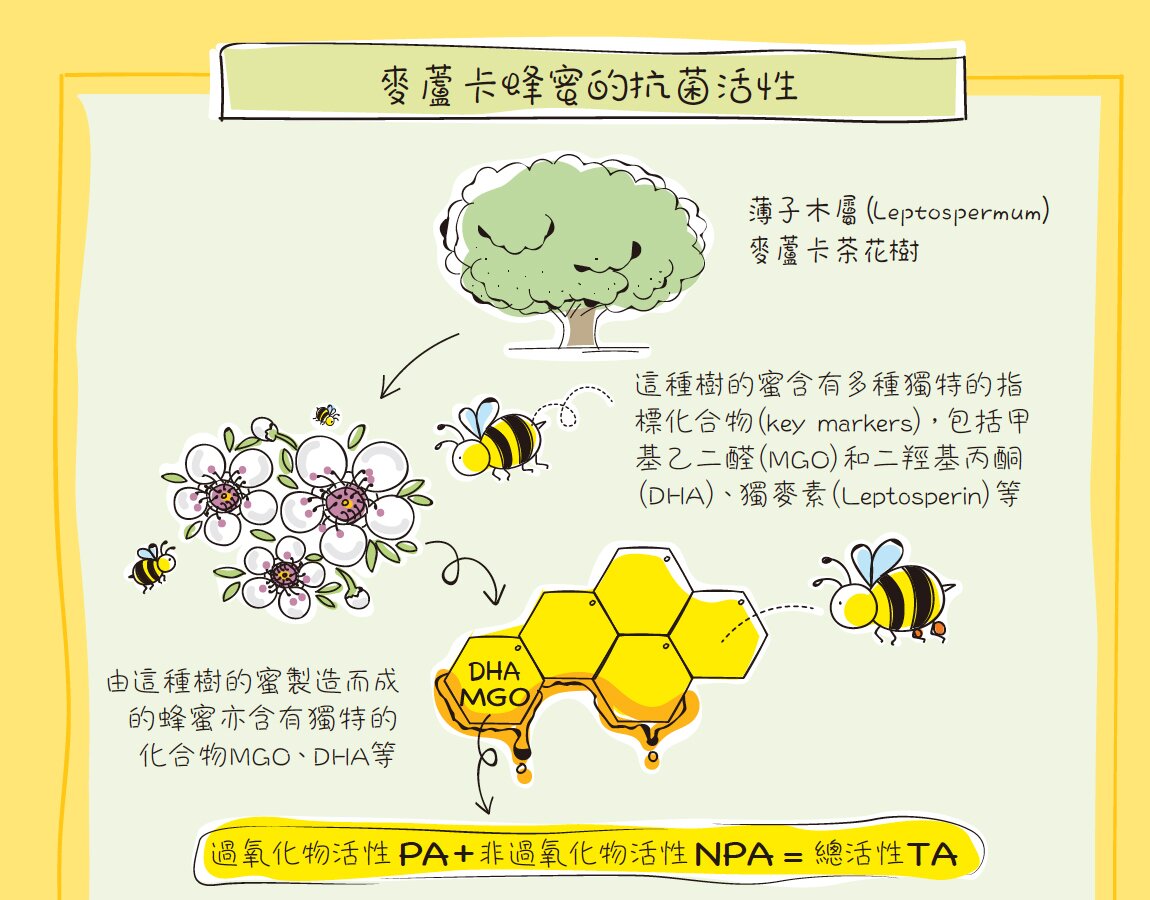 麥蘆卡蜂蜜的抗菌活性