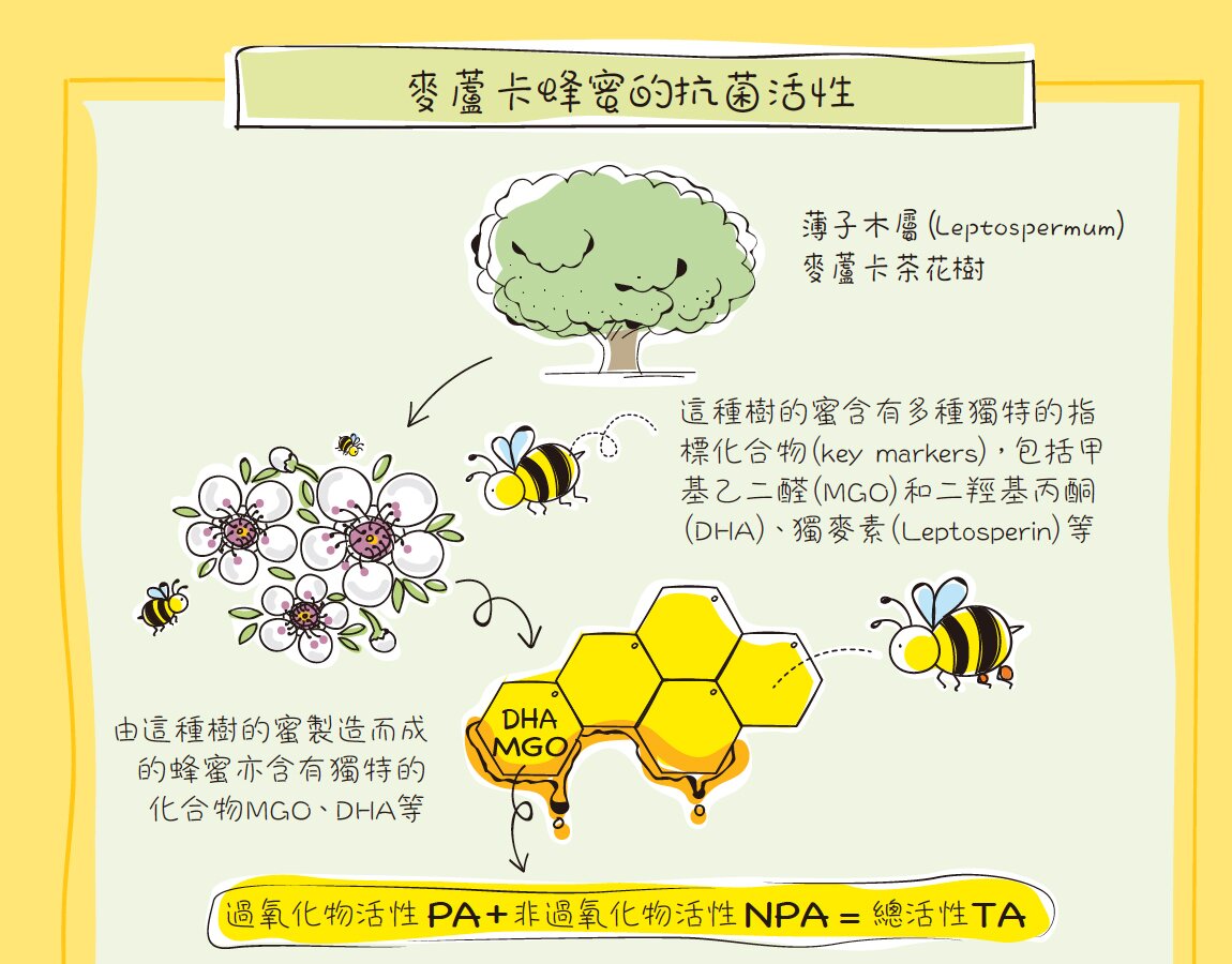 麦芦卡蜂蜜的抗菌活性