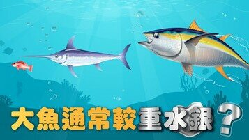 食物冷知識：大魚水銀含量較重？