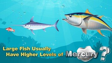 Trivia about Food: Large Fish Have Higher Levels of Mercury?