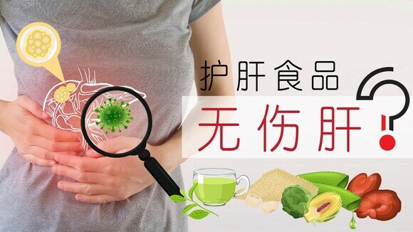 肝脏健康冷知识：护肝食品无伤肝？