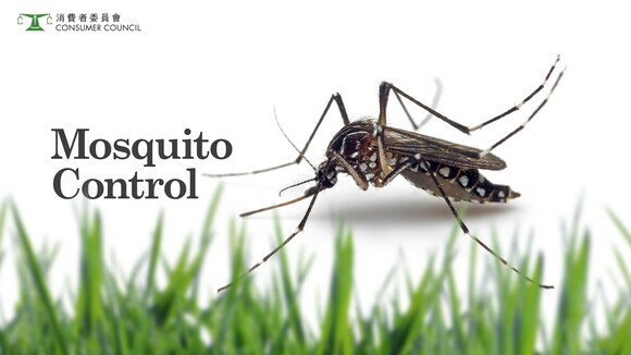 Mosquito Control