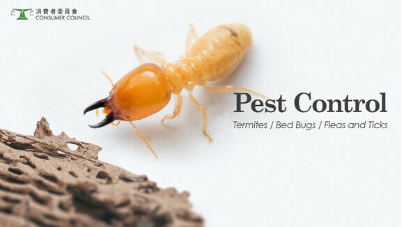 Pest Control (Termites / Bed Bugs / Fleas and Ticks)