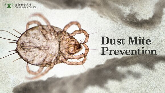 Dust Mite Prevention