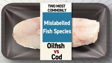 Fish Fraud: Fish That Are Most Commonly Mislabelled