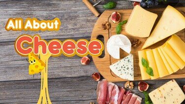 All About Cheese: How to Distinguish the Different Types of Cheese and Eat Healthily 