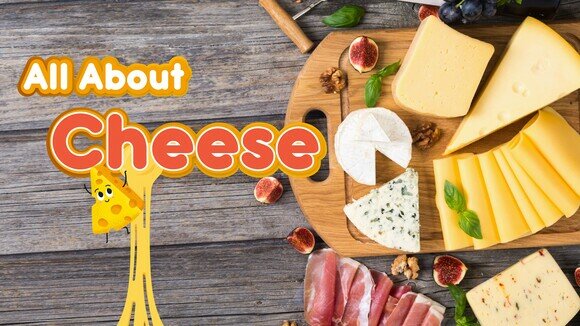 All About Cheese: How to Distinguish the Different Types of Cheese and Eat Healthily 