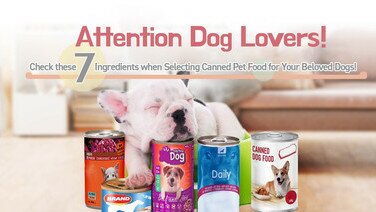 Attention All Dog Lovers! Check These 7 Nutrients When Selecting Canned Pet Food
