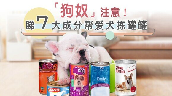 「狗奴」注意！拣罐罐睇7大营养素