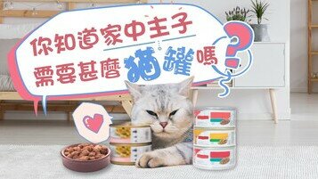 【猫罐头懒人包】孕猫、老猫、病猫所需罐罐大不同？买湿粮逐步教学