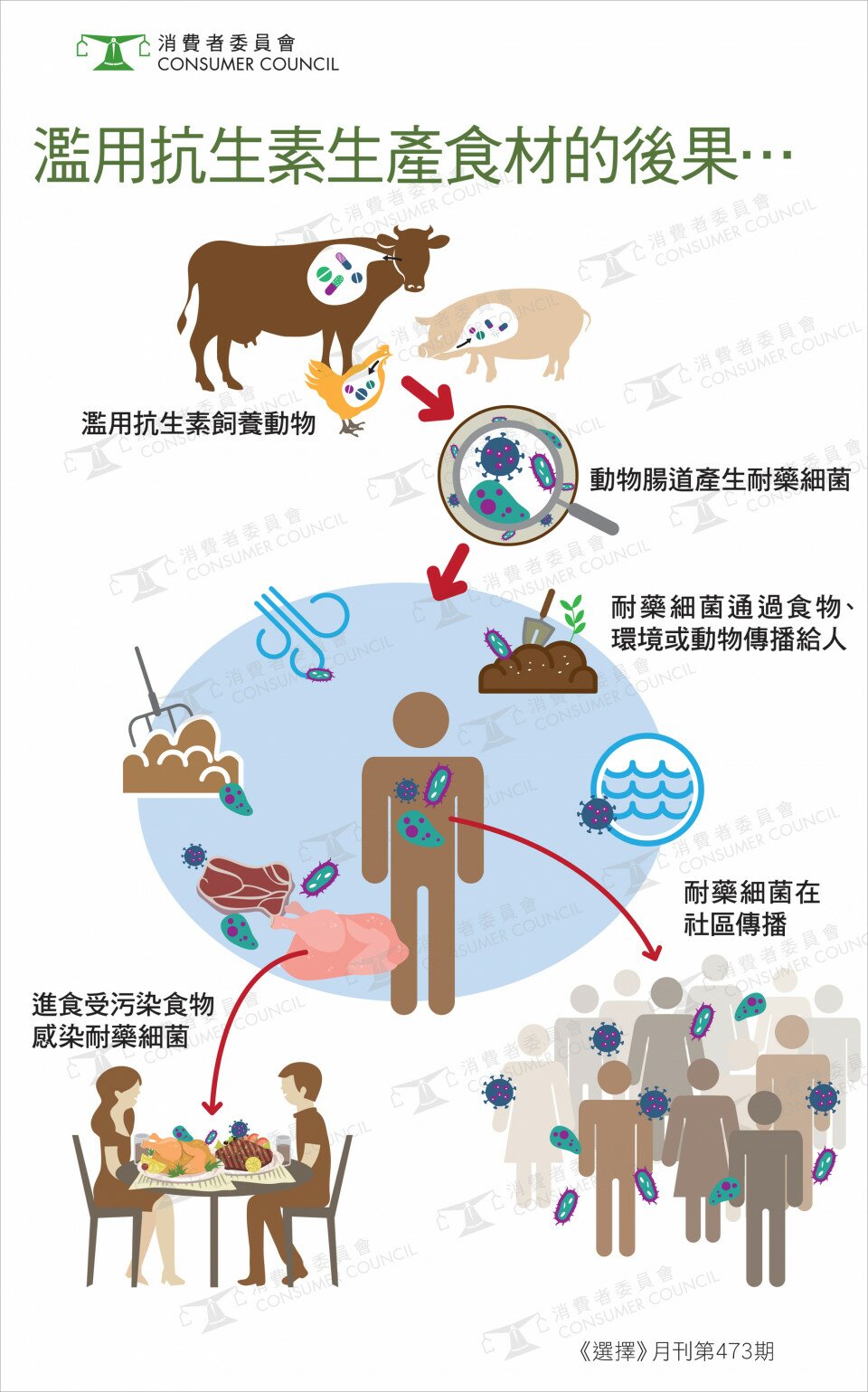 農業濫用抗生素與你無關？