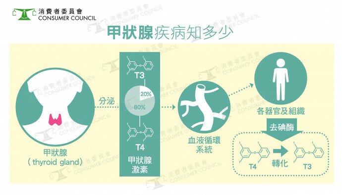 甲狀腺疾病知多少